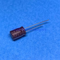 ELC. CAP 100uF/6.3V ELNA SILMIC II RFS-6V101MG3#5 8x11.5 3.5LS