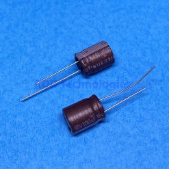 ELC. CAP 100UF/16V ELNA SILMIC II RFS-16V101MH3#5 10X12.5