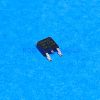 IRLR2905PBF IR TO-252
